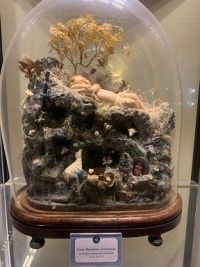 Presepe Avellino