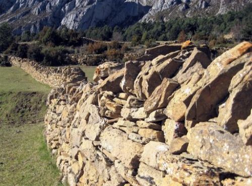giornata paesaggio 2021 paesaggi terrazzati