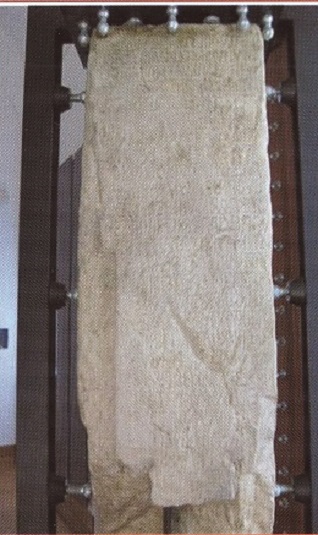Cippo avellano