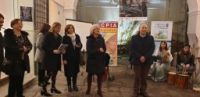 mostra conclusiva capri 4